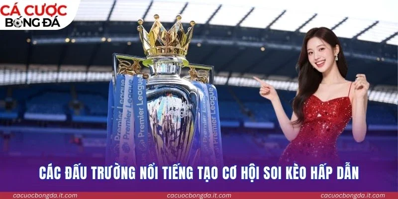 Các đấu trường nổi tiếng tạo cơ hội soi kèo hấp dẫn