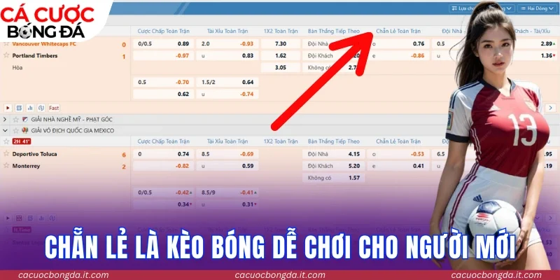 Chẵn lẻ là một dạng kèo bóng dễ chơi cho người mới