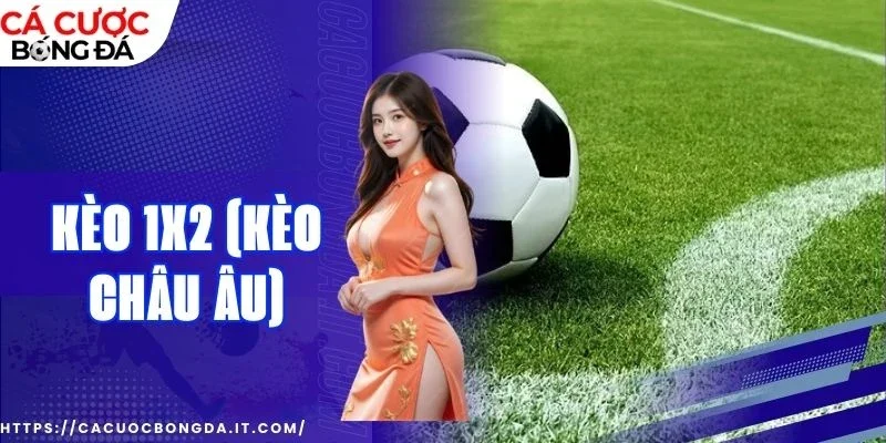 Nghiên cứu thông số trận đấu để đặt tiền