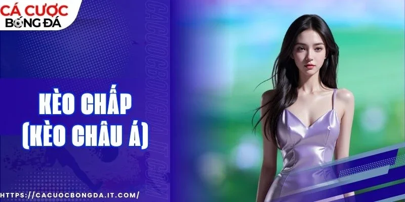 Theo dõi tỷ lệ thực tế để chọn thời điểm đặt hợp lý