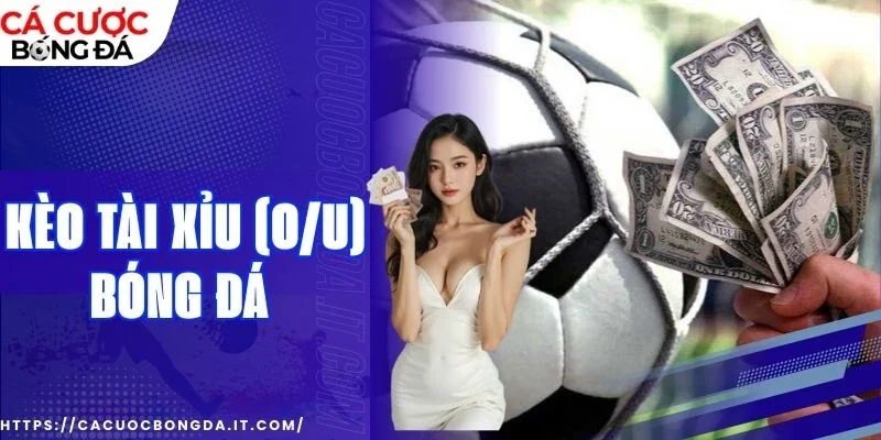 Mẹo chơi kèo tài xỉu (O/U) bóng đá chuẩn