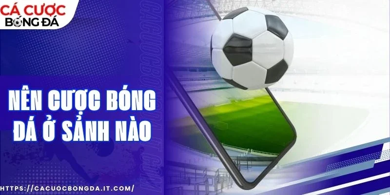 Cơ hội thắng lớn cùng các sảnh uy tín bậc nhất