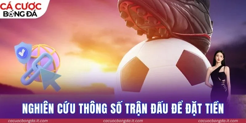 Nghiên cứu thông số trận đấu để đặt tiền