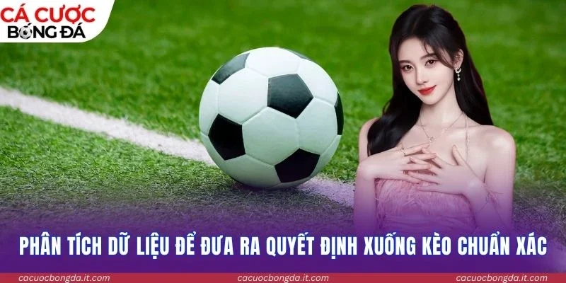 Phân tích dữ liệu để đưa ra quyết định xuống kèo chuẩn xác