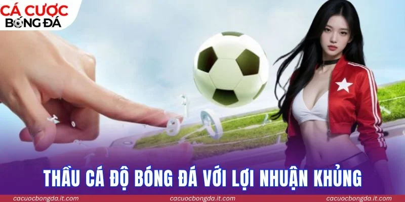 Thầu cá độ bóng đá với lợi nhuận khủng