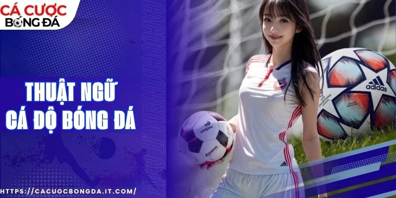 thuật ngữ cá độ bóng đá