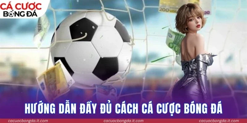 Website tin tức cập nhật dữ liệu bóng đá