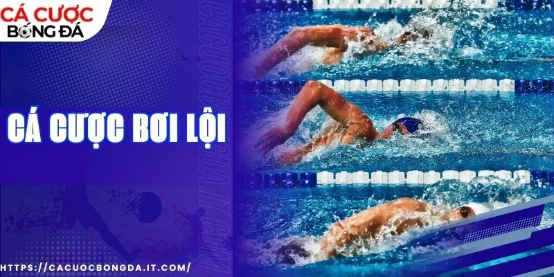 cá cược bơi lội