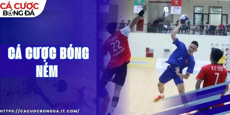 cá cược bóng ném