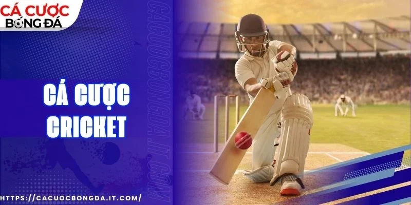 Thử sức cùng kiểu kèo dự đoán tay chơi xuất sắc nhất trận