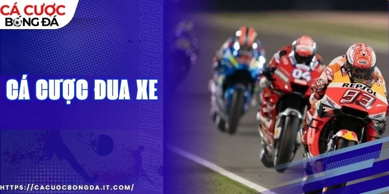 Mẹo chơi đỉnh cao, hội tụ cảm xúc thắng lớn cho hội viên