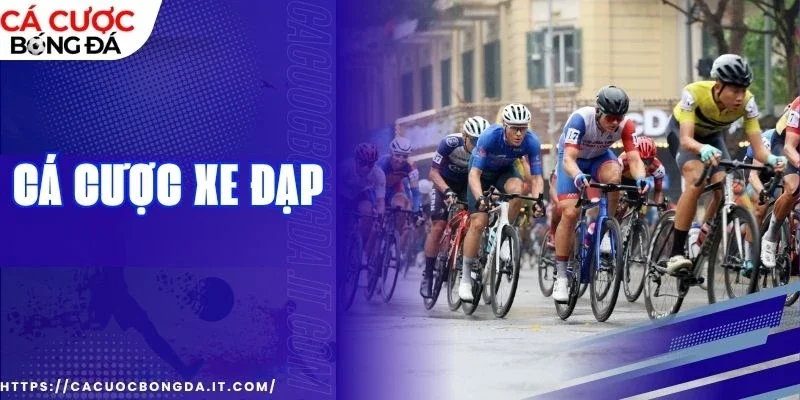 Cách Cá cược đua xe đạp hiệu quả từ cao thủ