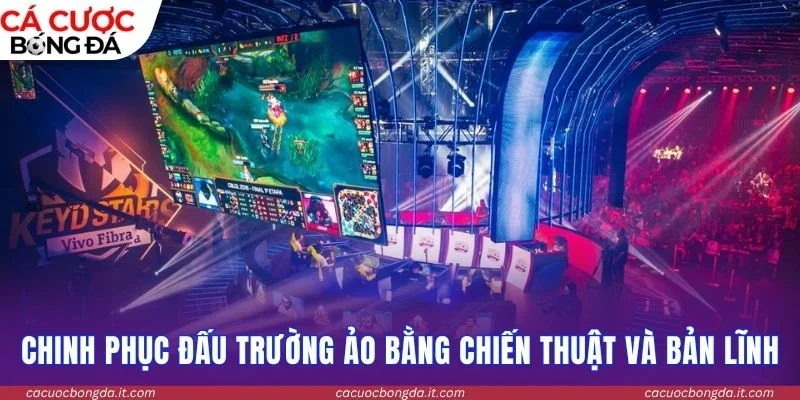 Chinh phục đấu trường ảo bằng chiến thuật và bản lĩnh