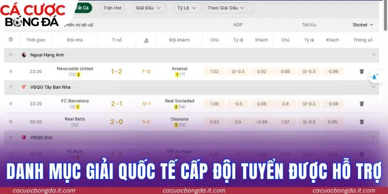 Danh mục giải quốc tế cấp đội tuyển được hỗ trợ