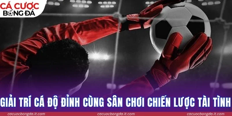 Giải trí cá độ đỉnh cùng sân chơi chiến lược tài tình  