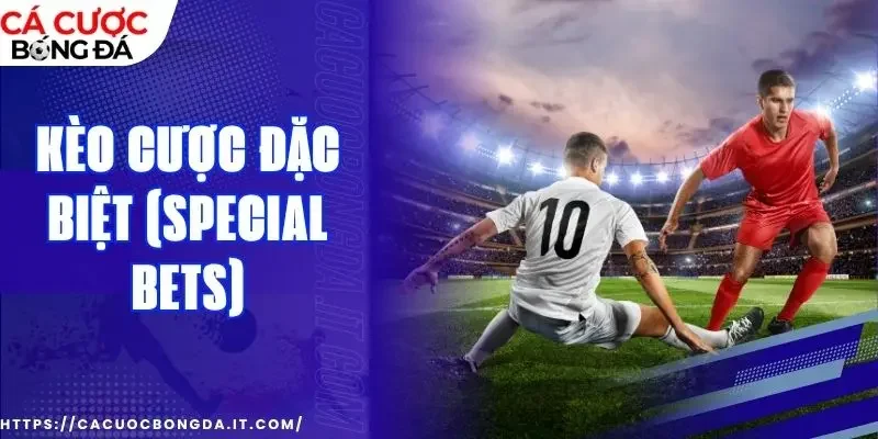 Nghiên cứu phong độ của của từng cầu thủ và đội bóng