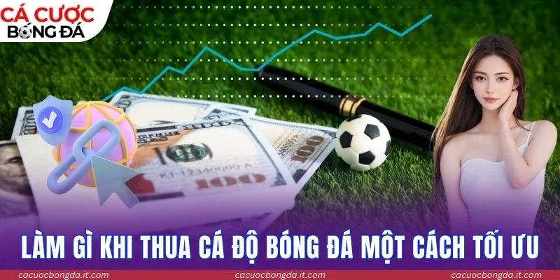 Làm gì khi thua cá độ bóng đá một cách tối ưu