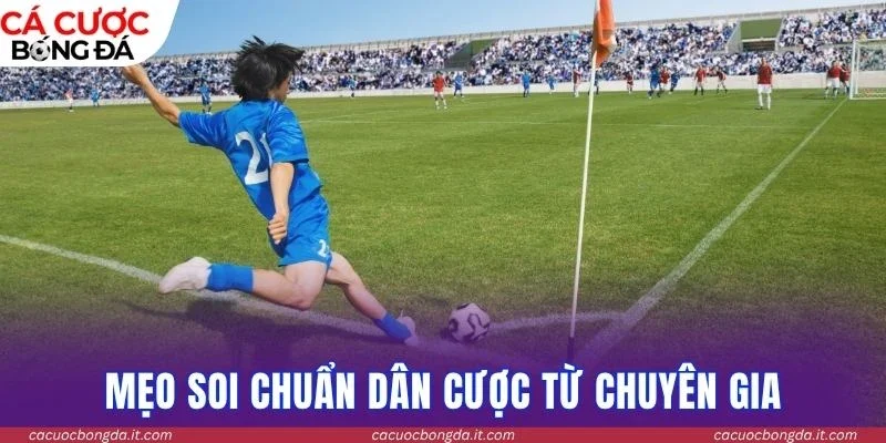 Mẹo soi chuẩn dân cược từ chuyên gia