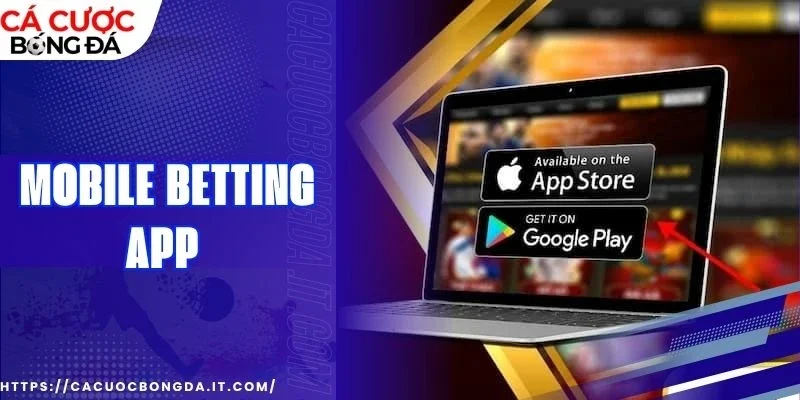 Một số vấn đề cần lưu ý khi cài đặt phần mềm về máy