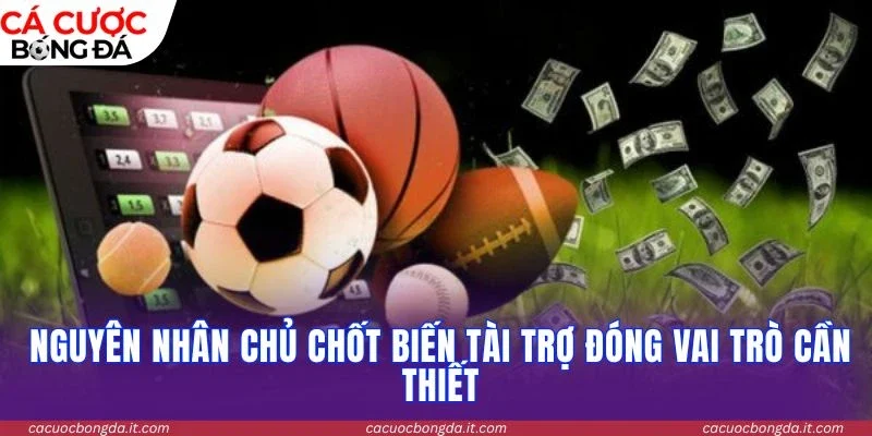 Nguyên nhân chủ chốt biến tài trợ đóng vai trò cần thiết