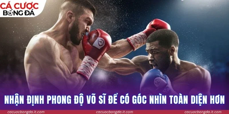 Nhận định phong độ võ sĩ để có góc nhìn toàn diện hơn