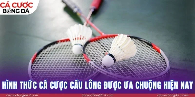Những hình thức cá cược cầu lông được ưa chuộng hiện nay