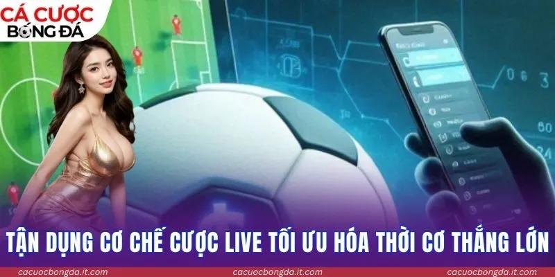 Tận dụng cơ chế cược live tối ưu hóa thời cơ thắng lớn