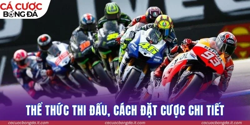 Thể thức thi đấu, cách đặt cược chi tiết