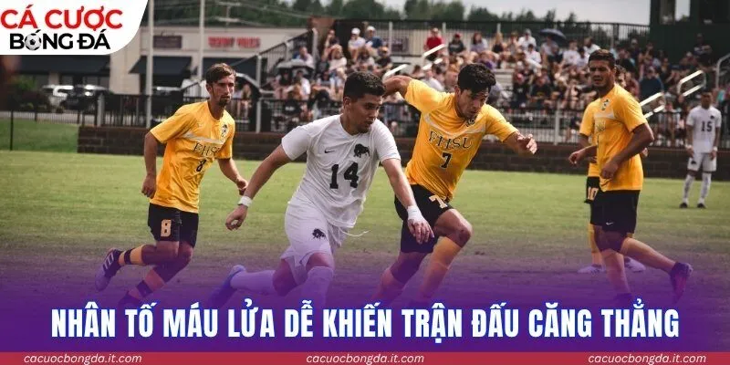 Tìm ra nhân tố máu lửa dễ khiến trận đấu căng thẳng