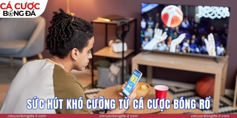 Sức hút khó cưỡng từ sảnh cá cược bóng rổ trực tuyến