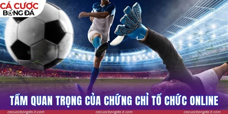Tầm quan trọng của chứng chỉ tổ chức online